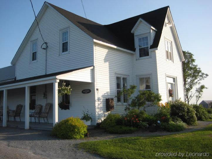 Moore'S Specialties Fundy Bay House Rental Gardner Creek Exterior photo