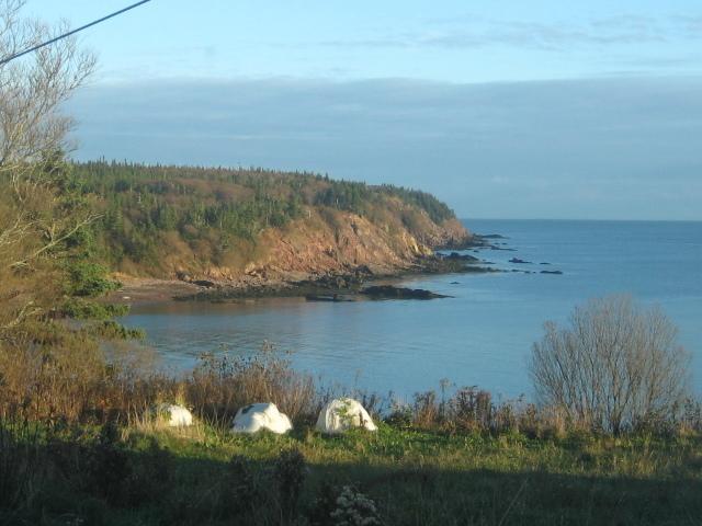 Moore'S Specialties Fundy Bay House Rental Gardner Creek Exterior photo